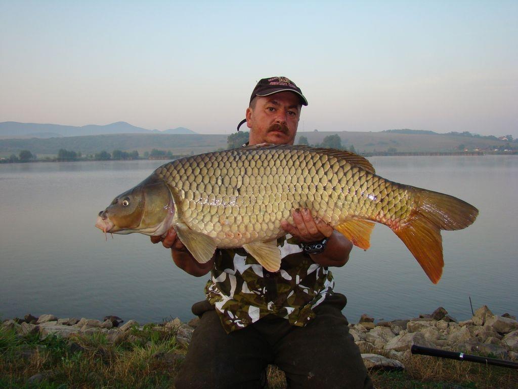 Cipibaits - 00106505.jpg